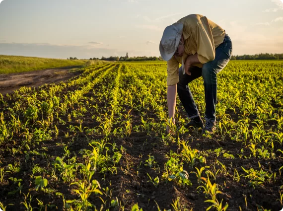 Khaity Agriculture Mobile Solution